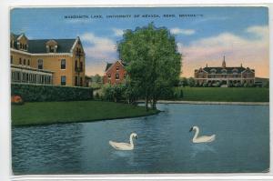 Manzanita Lake Swans University Nevada Reno NV Linen postcard