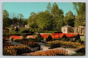 Tulips in Bloom Kingwood Center MANSFIELD Ohio VINTAGE Postcard A204
