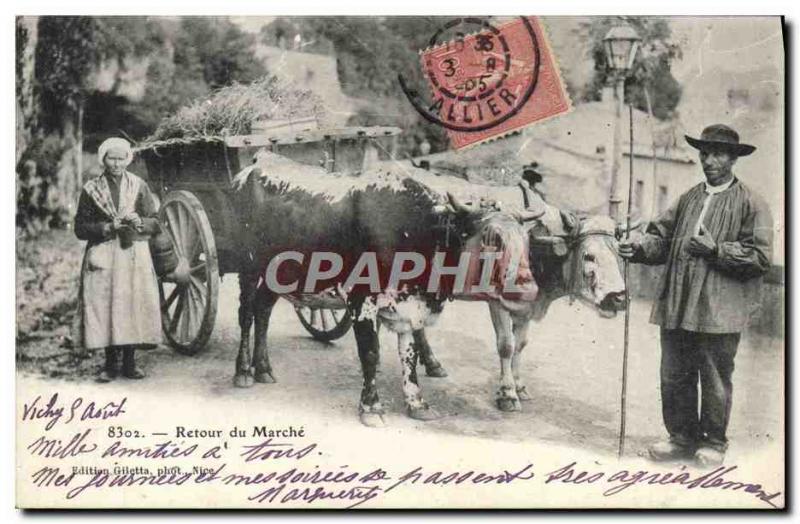 Old Postcard Return of walking hitch Cows Folklore