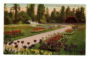 Canada - BC, Vancouver. Stanley Park, Tulip Time