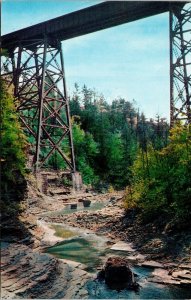 View New York Central Railroad Bridge Gorge Watkin Glen State Park Postcard VTG 