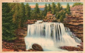 Vintage Postcard 1920's Most Beautiful Waterfalls Blackwater Falls West Virginia