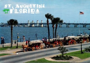 Florida St Augustine Carriages On The Bayfront Near The Bridge Of Lions