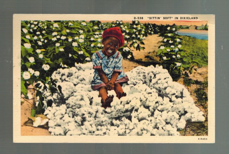 Mint Postcard Black Americana Child in Cotton Pile Sittin Soft in Dixieland