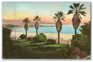1939 Beach Trees Sunset View Santa Barbara California CA Posted Vintage Postcard