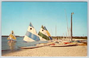 1960-70's REHOBOTH BEACH DELAWARE A DELIGHTFUL DAY ON THE BAY SAILBOATS POSTCARD