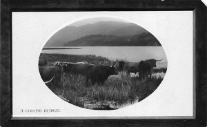 Cooling Retreat Cow 1915 missing top right corner