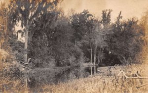 Florida Palatlakaha River Scenic View Real Photo Vintage Postcard AA74495