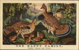 Currier & Ives - Hotel Somerset Boston Birds Ruffed Grouse Linen Postcard myn