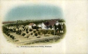 Fruit Ranch - Bitterroot Valley, Montana MT Postcard
