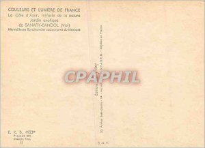 Postcard Modern Bandol (Var) The French Riviera Miracle of Nature Exotic Gard...