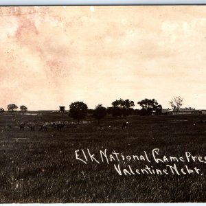 c1910s Valentine Neb Elk National Game Preserve RPPC Wildlife Refuge NE A154