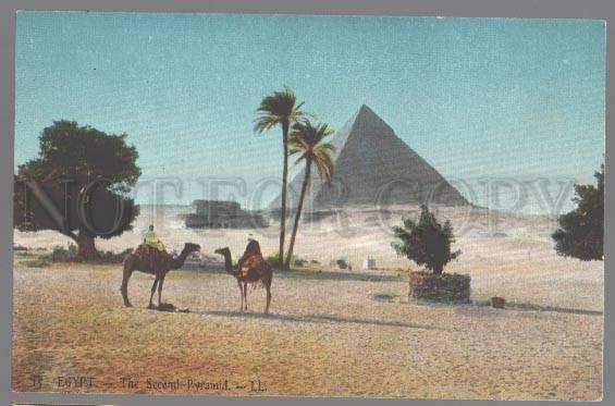 099088 EGYPT Second Pyramid CAMELS Vintage colorful PC