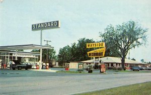 Oneco Florida Wayside Restaurant Standard Oil Gas Station Postcard JI657937