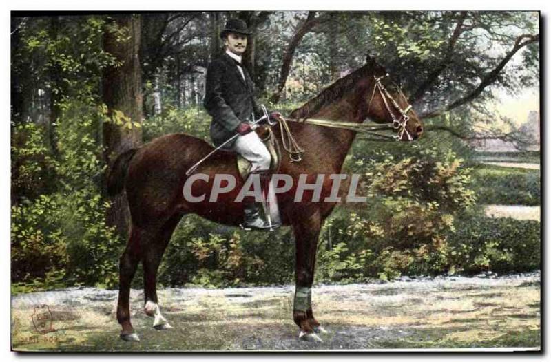 Vintage Postcard Horse Equestrian sports HorsemanshipÂ 