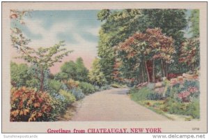 New York Greetings From Chateaugay