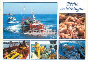 Postcard Modern Fishing Brittany sardines scampi spiders trawl fish