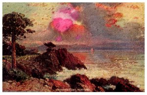 California Monterey  Cupress Point,  Artist painted
