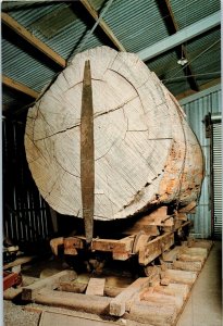 Kauri Log On Tram The Otamatea Kauri and Pioneer Museum New Zealand Postcard