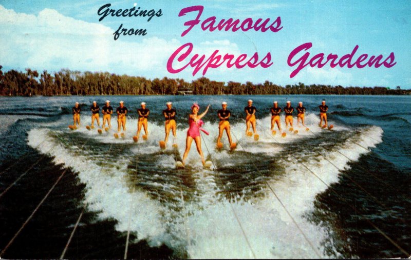 Florida Cypres Gardens Greetings Showing Water Skiers Led By Esther Williams ...