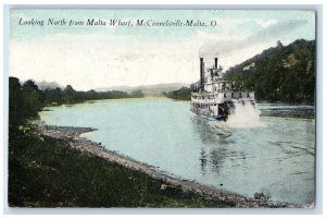 1919 Looking North Malta Wharf Steamer Lake McConnelsville-Malta Ohio Postcard
