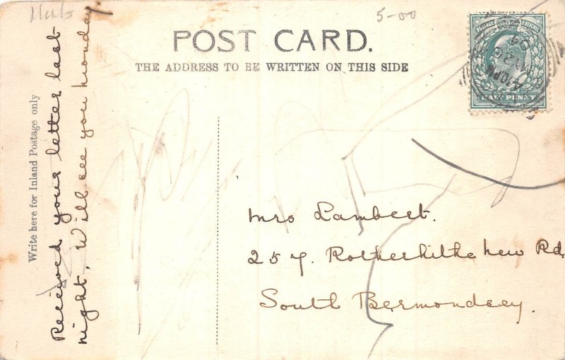 lot399 Tavistock goose fair Devon market day uk