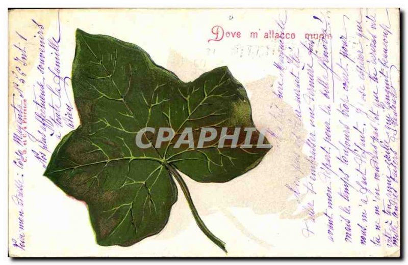 Old Postcard Fantasy Flowers Vine (raised)