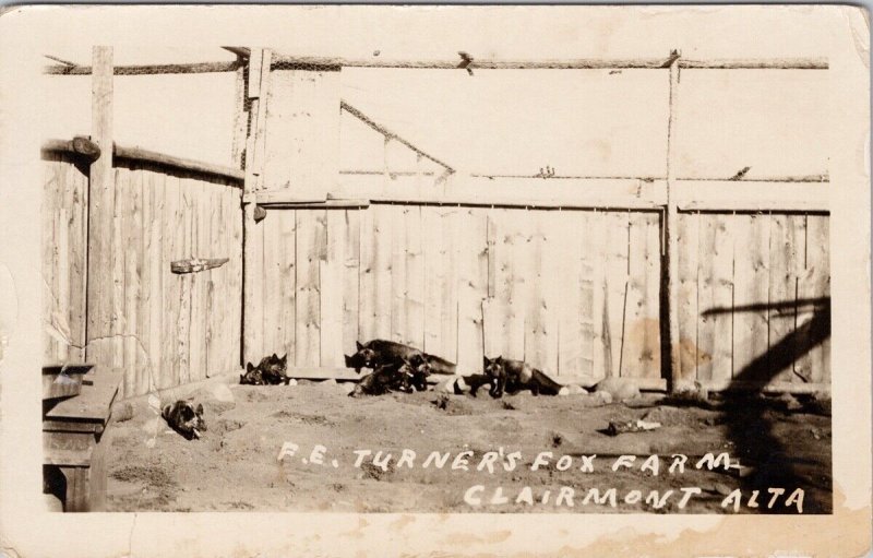 Clairmont Alberta FE Turner's Fox Farm AB Alta Unused RPPC Postcard H24 *as is 