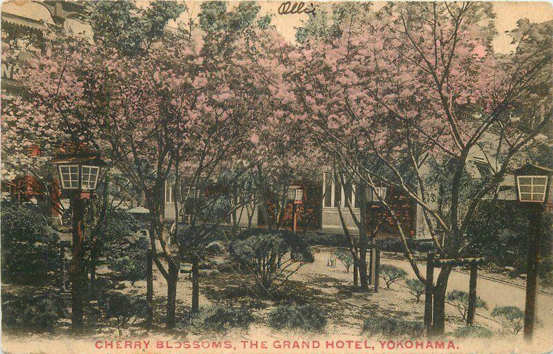 Cherry Blossoms Grand Hotel C-1910 Yokohama Japan hand colored postcard 10349