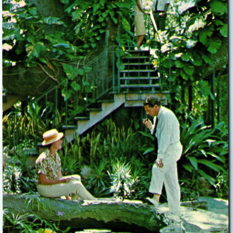 c1960s Nassau, Bahamas Royal Victoria Hotel Treehouse Isles June Chrome PC A299