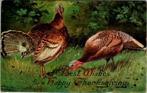 Thanksgiving Wishes Beautiful Turkeys Embossed c1915 Postcard W16