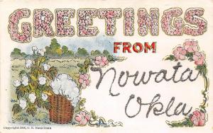 C28/ Greetings from Nowata Oklahoma Ok Postcard Hasselman Glitter