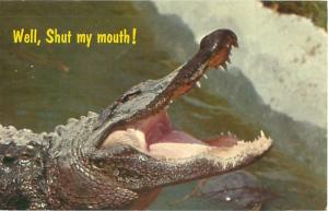  Alligator Postcard, Well Shut My Mouth!  