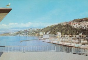 New Zealand Postcard - Wellington Boat Harbour    RR9459