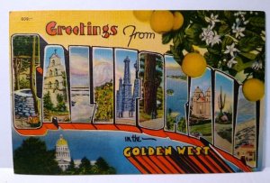 Greetings From Golden West California Large Letter Linen Postcard Oranges Tree