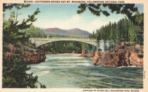 Vintage Postcard 1930's Chittenden Bridge & Mt. Washburn Yellowstone Nat'l Park