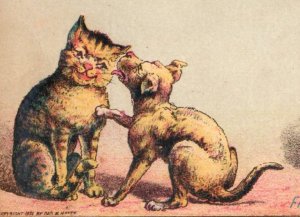 1882 Jos. Stiner Teas Coffees Spices Cute Comical Cat & Dog Friendship P138
