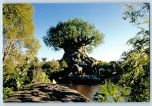 2005 Orlando Florida Postcard Tree Of Life Disney's Animal Kingdom 145 Feet Tall