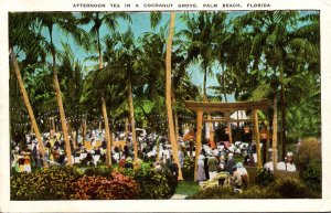 Florida Palm Beach Afternoon Tea In A Cocoanut Grove 1938