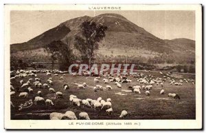 Old Postcard The Auvergne Puy de Dome Sheep Sheep