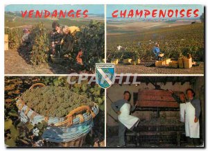 Postcard Modern Champenoises Harvest Scenes White grape harvest Pressoir Mann...