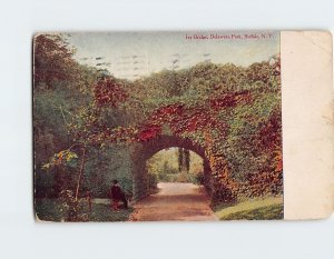 Postcard Ivy Bridge, Delaware Park, Buffalo, New York