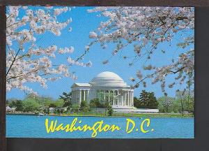 Jefferson Memorial Washington DC Postcard BIN E899