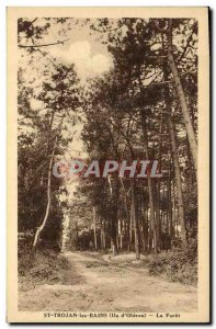 Postcard Old Tree St Trojan les Bains Ile d & # 39Oleron The forest