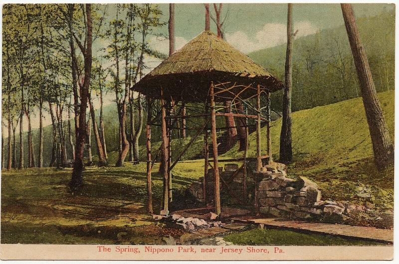 1907-15 Nippono Park Near Jersey Shore PA The Spring J.C. Mick RARE DB Postcard