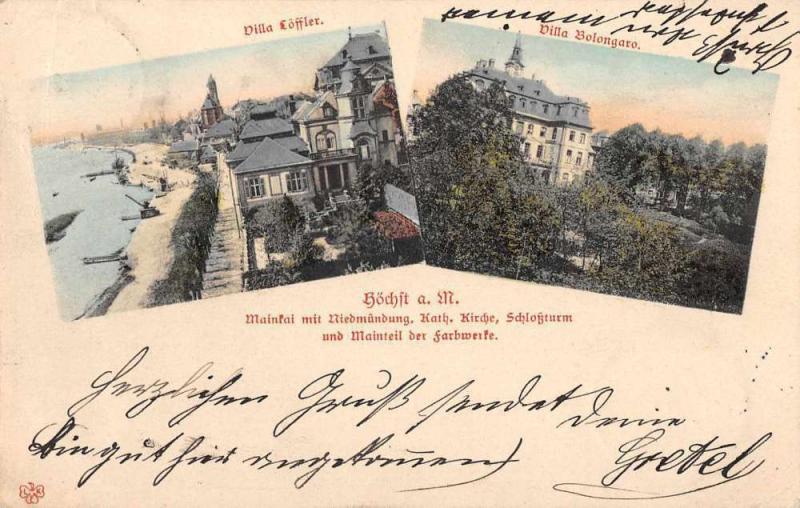Hochst Germany Birds Eye View Villas Antique Postcard J60919
