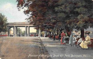 Madison Avenue Gate Druid Hill Park Baltimore Maryland 1910c postcard