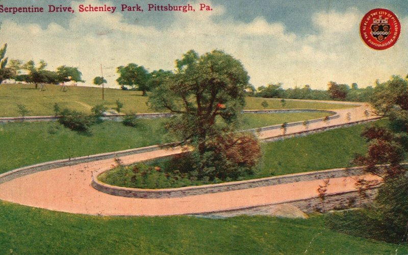 Vintage Postcard 1910's Serpentine Drive Schenley Park Pittsburgh Pennsylvania