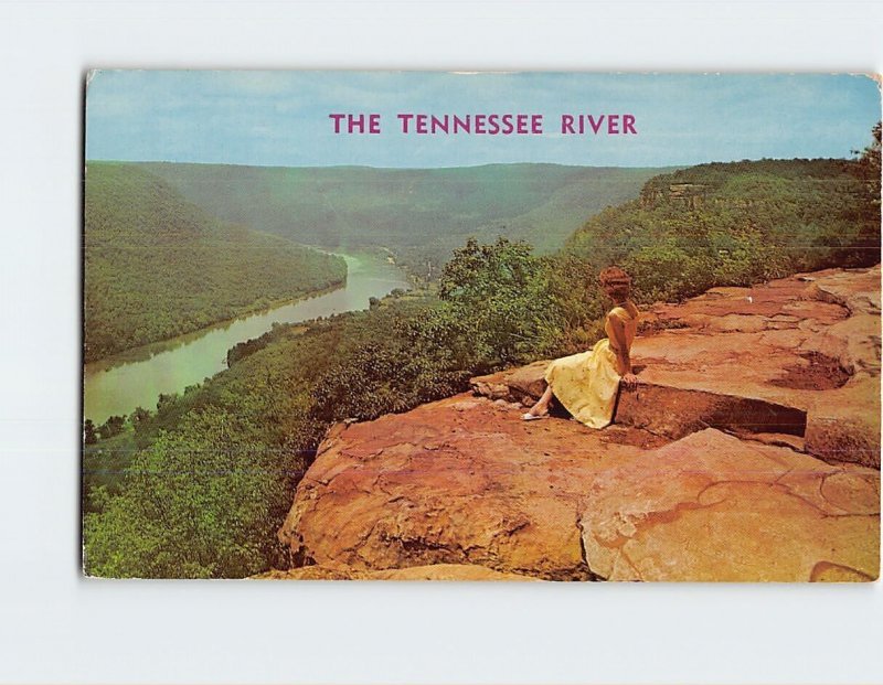 Postcard The Tennessee River Chattanooga Tennessee USA