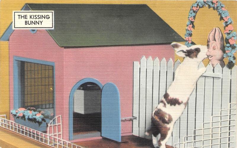 F31/ Hot Springs Arkansas Postcard Linen Roadside Kissy Bunny Zoo